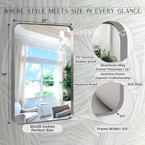 20x30 Inch Rest room Mirror - Rectangular Wall-Mounted Silver Aluminum Body - Spacious Spherical Nook Mirror for Above Sink - Elegant Decor for Rest room Vainness